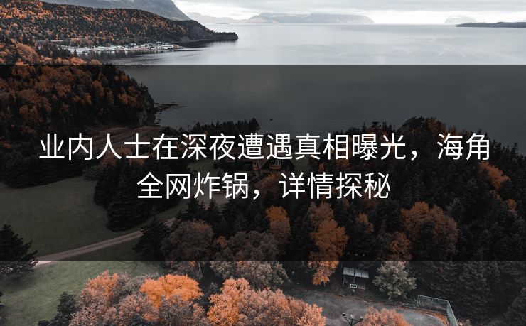 业内人士在深夜遭遇真相曝光，海角全网炸锅，详情探秘
