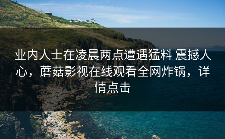 业内人士在凌晨两点遭遇猛料 震撼人心，蘑菇影视在线观看全网炸锅，详情点击