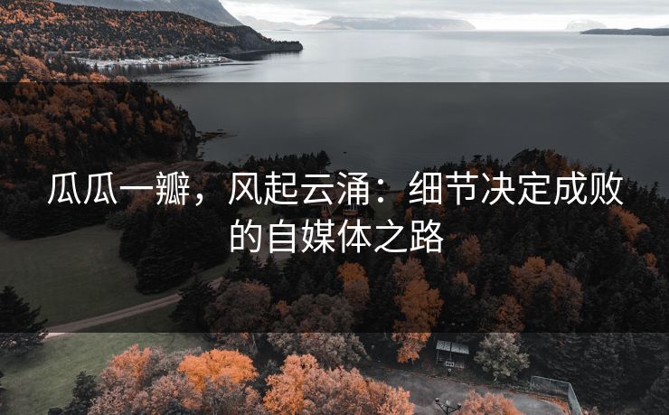 瓜瓜一瓣，风起云涌：细节决定成败的自媒体之路