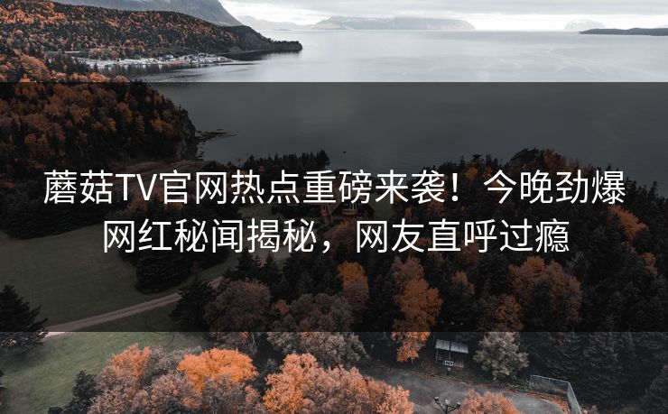蘑菇TV官网热点重磅来袭！今晚劲爆网红秘闻揭秘，网友直呼过瘾