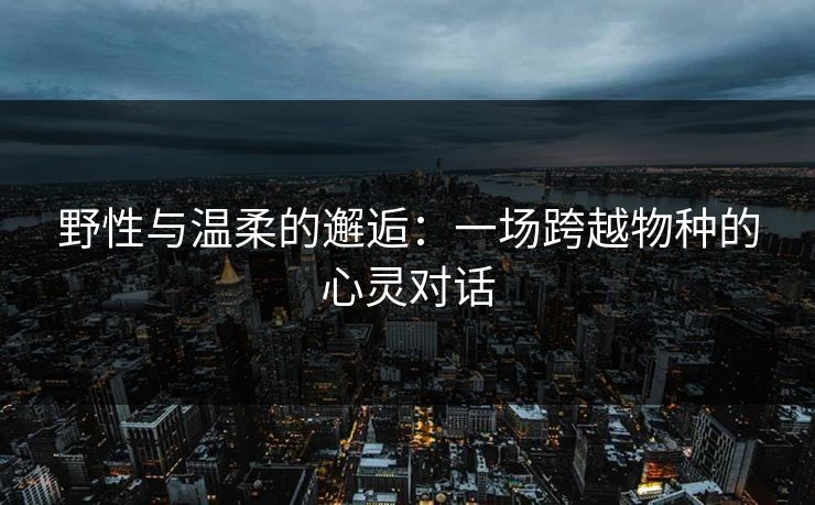 野性与温柔的邂逅:一场跨越物种的心灵对话